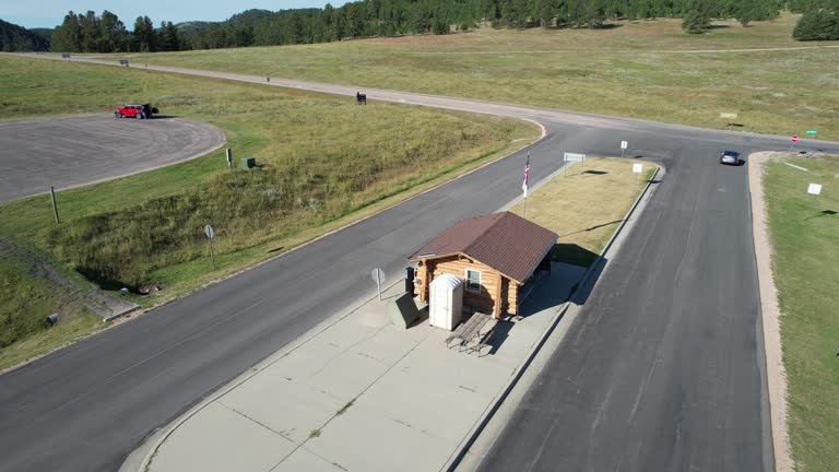 Best Root Management and Removal  in Plymouth, WI